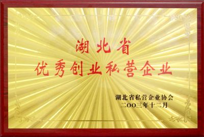 優秀創業私營企業